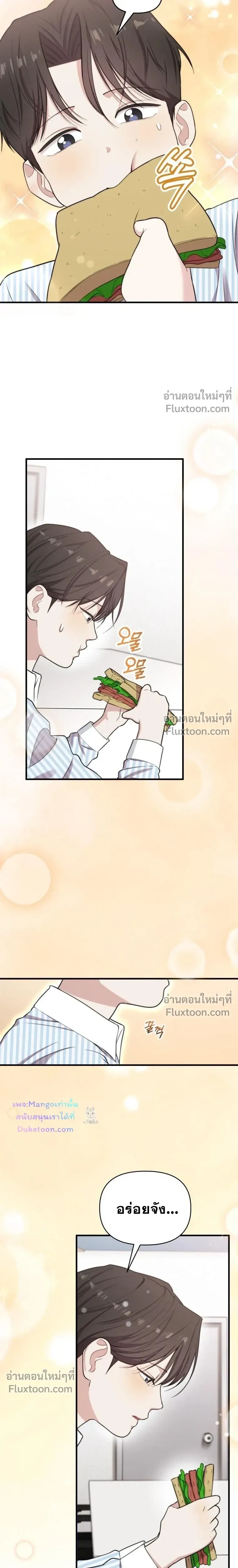 หน้าที่ 17