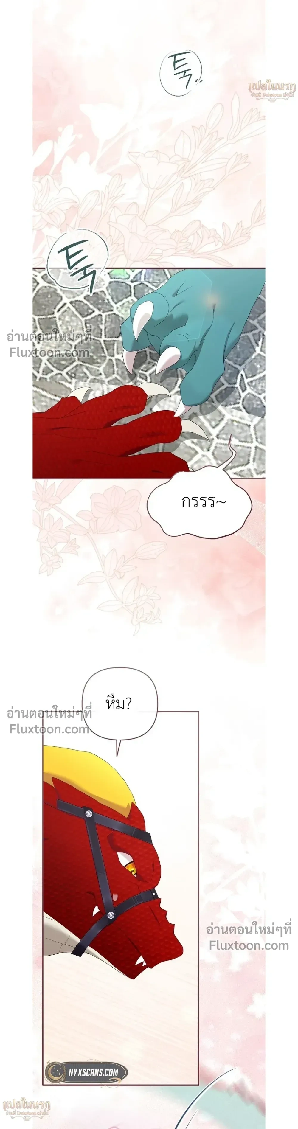 หน้าที่ 17