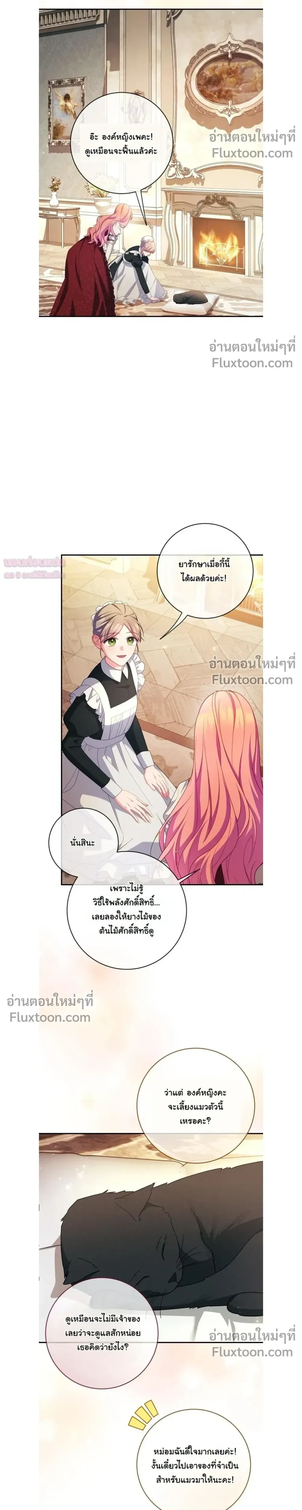 หน้าที่ 17