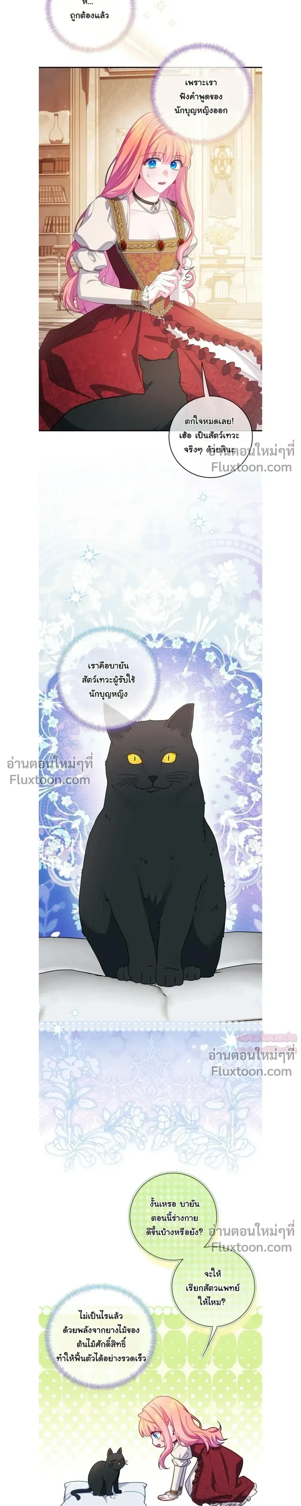 หน้าที่ 19