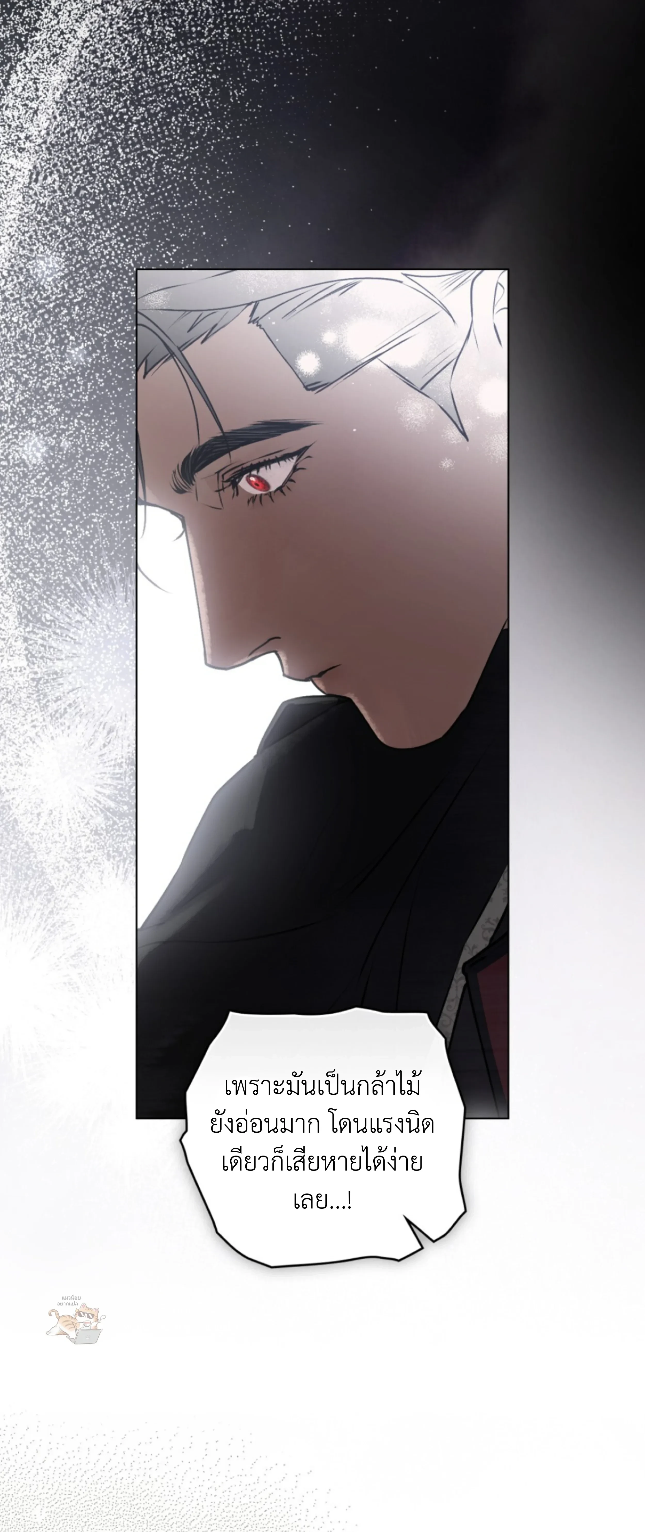 หน้าที่ 48