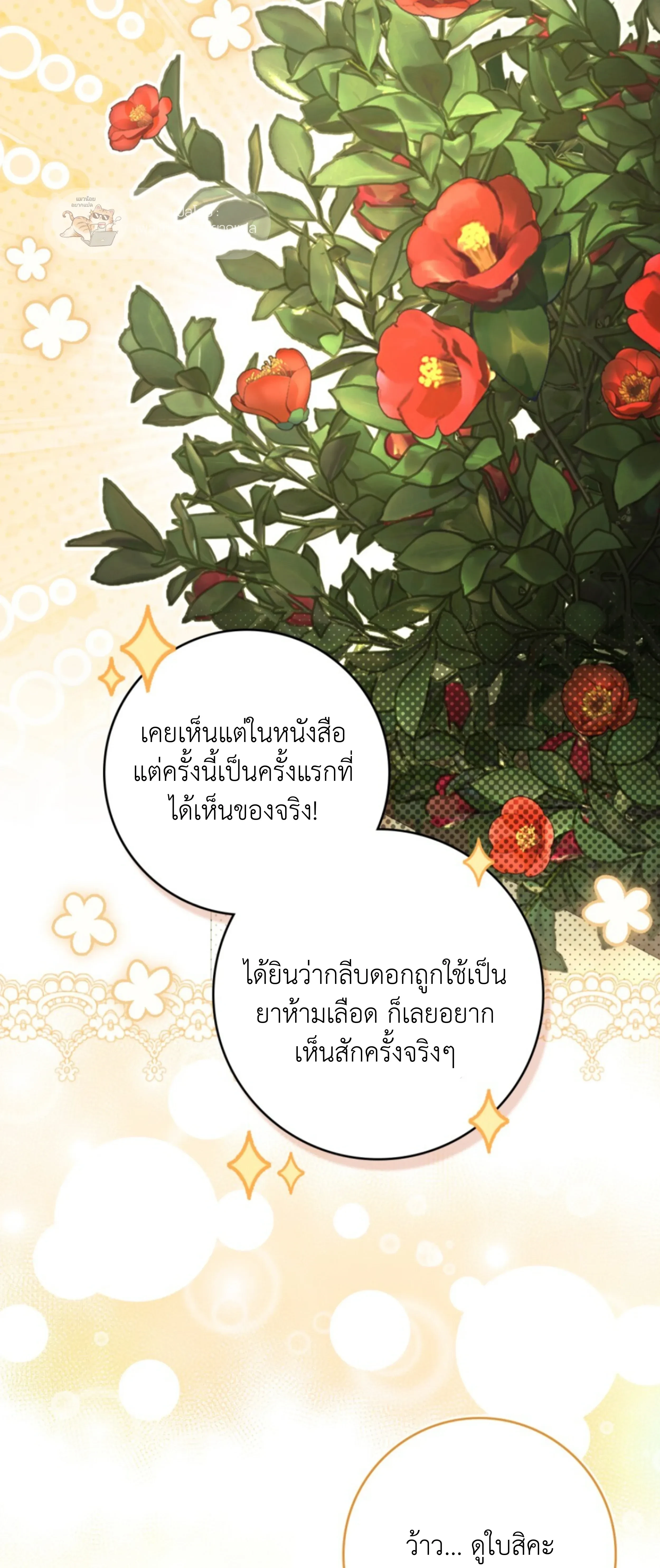 หน้าที่ 41