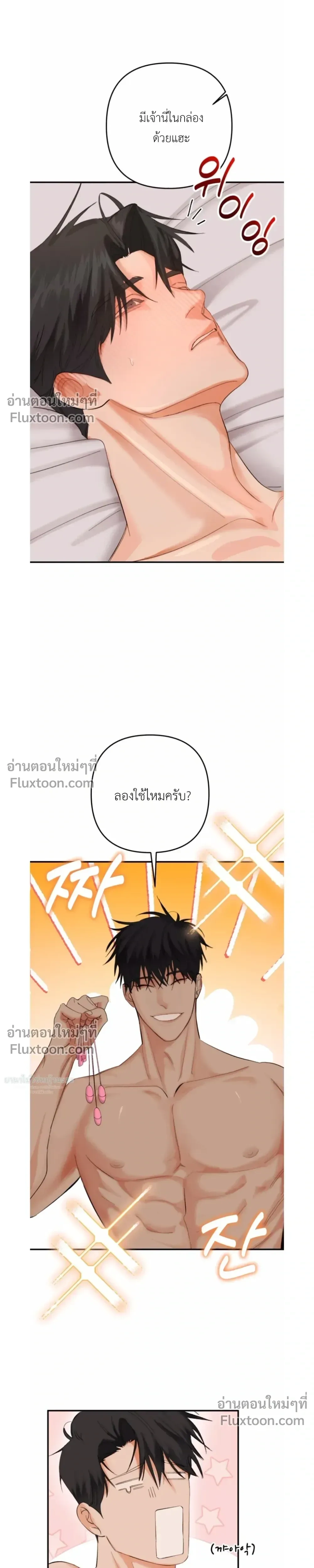 หน้าที่ 17