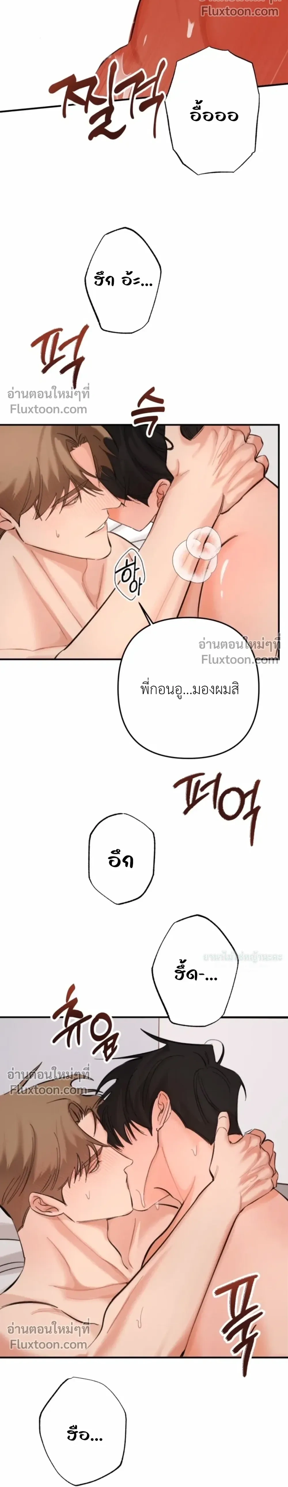 หน้าที่ 24