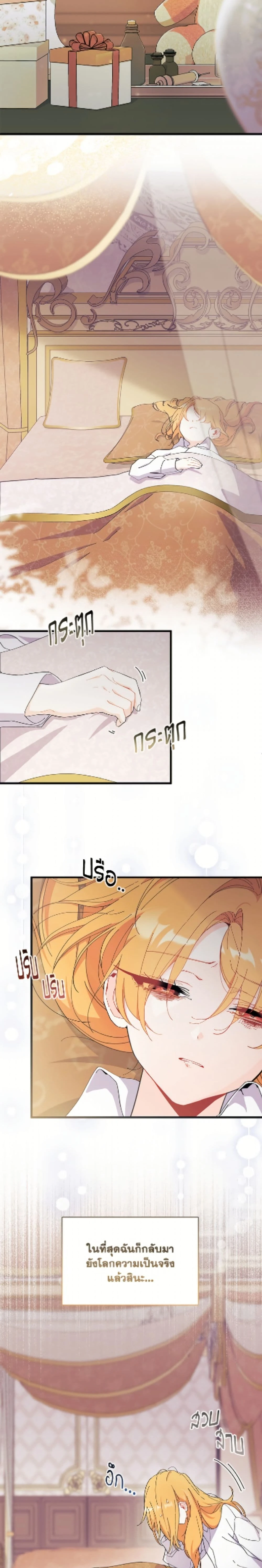 หน้าที่ 17