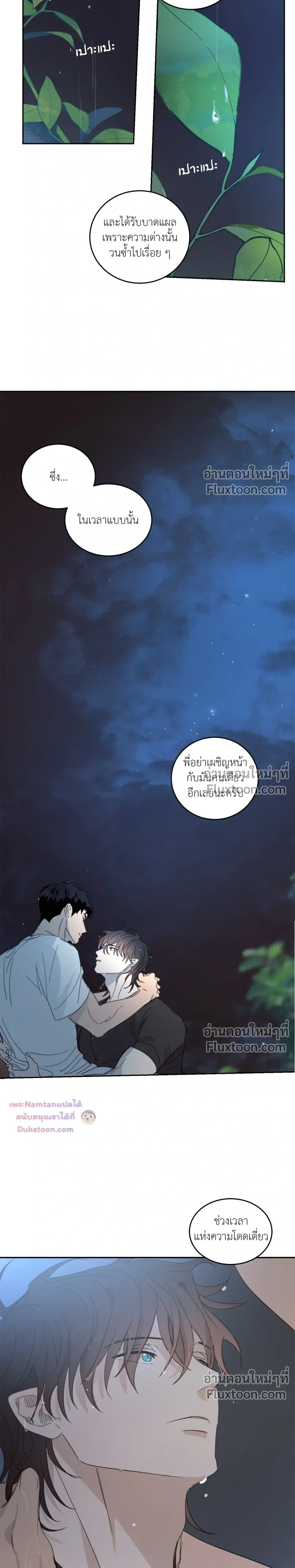 หน้าที่ 13