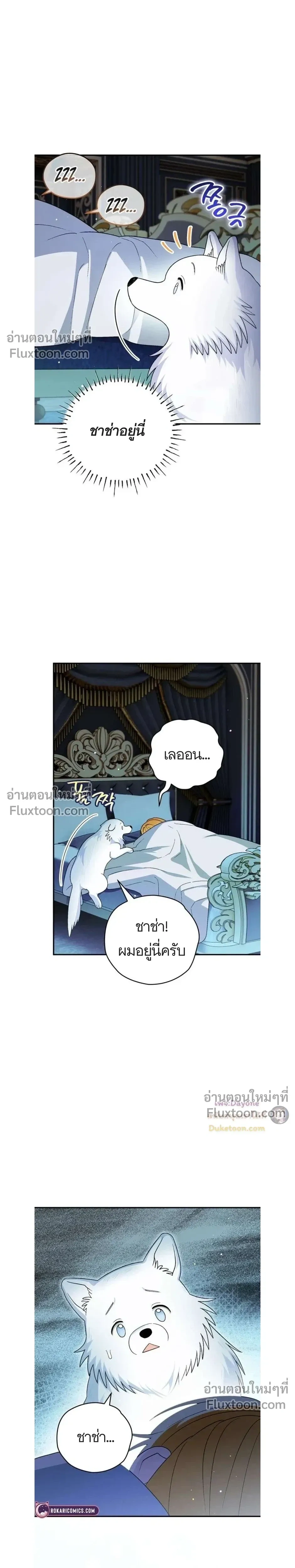 หน้าที่ 29