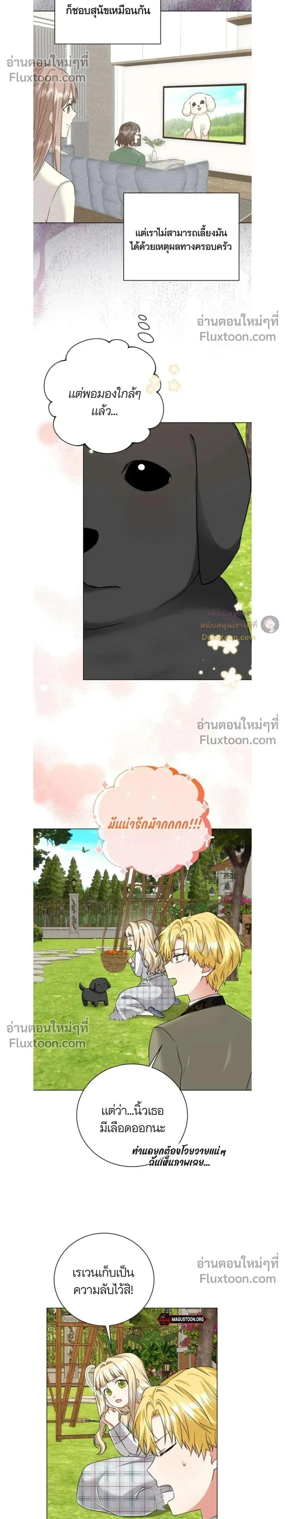 หน้าที่ 17