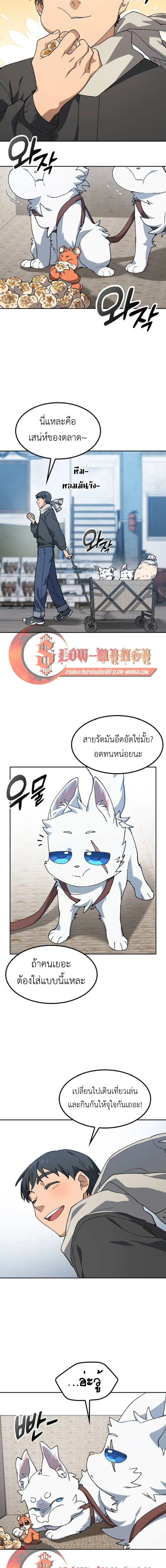 หน้าที่ 13