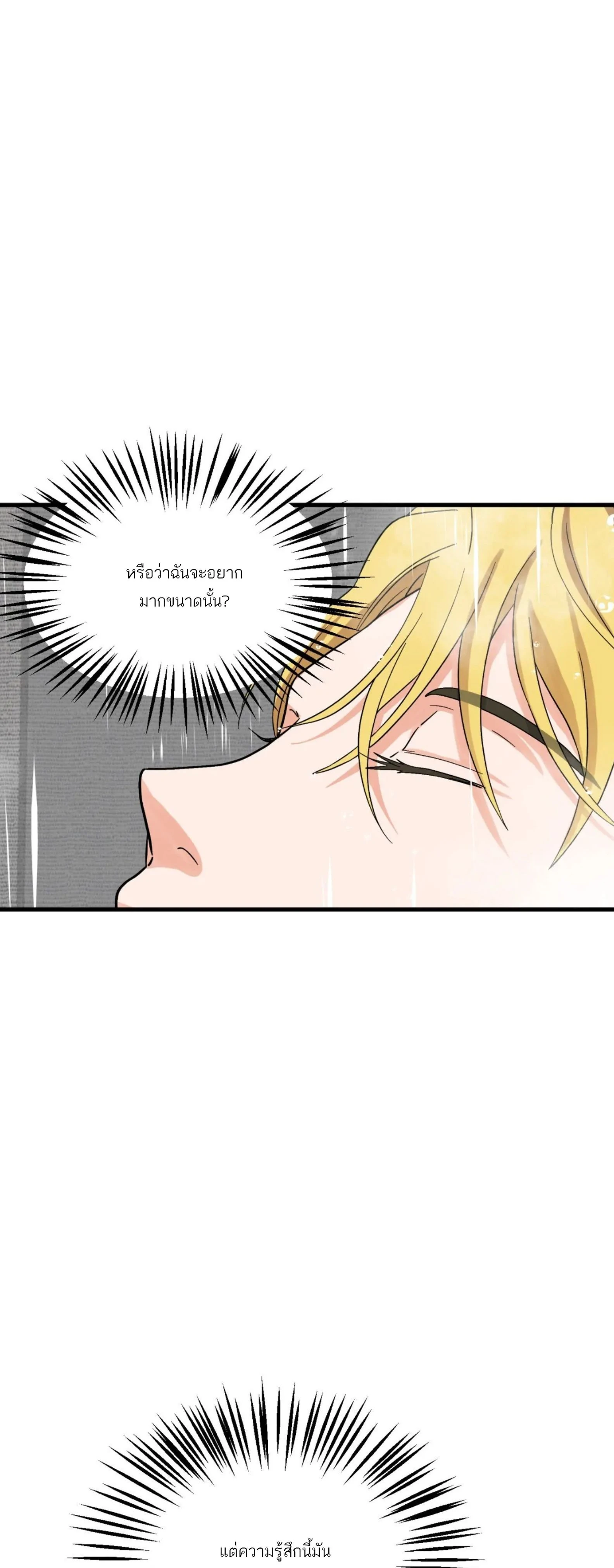 หน้าที่ 41