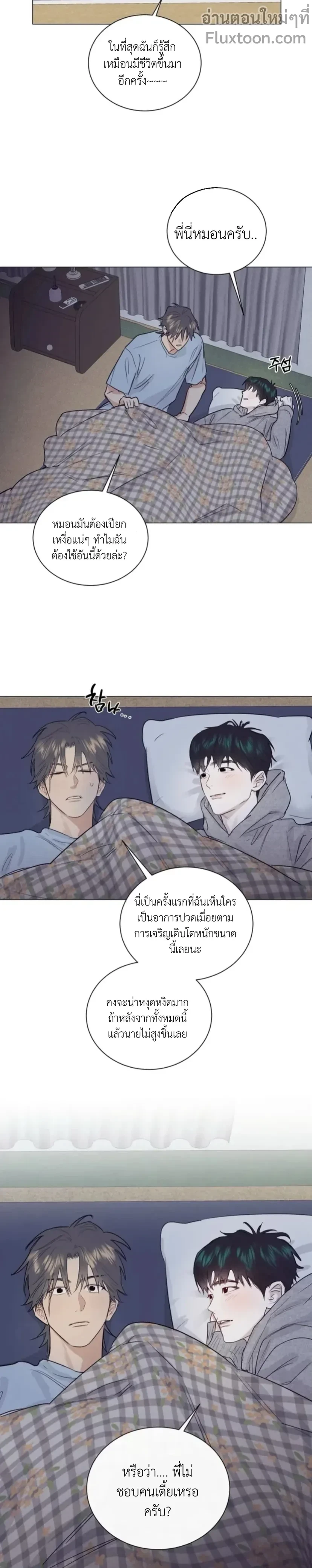 หน้าที่ 13