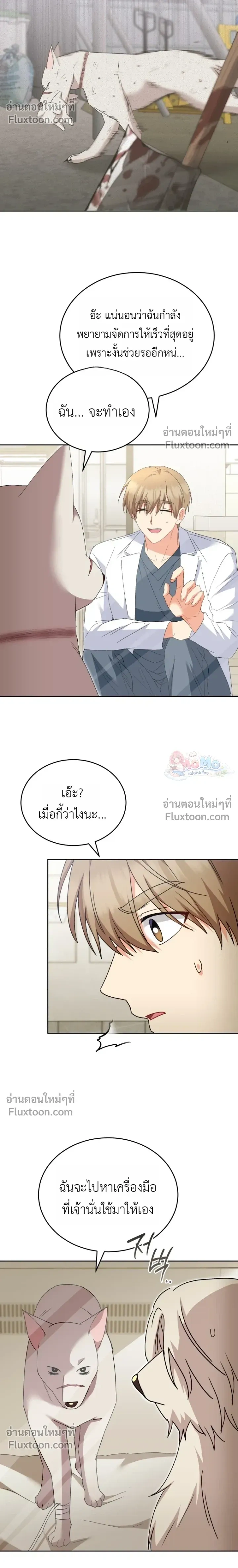 หน้าที่ 17