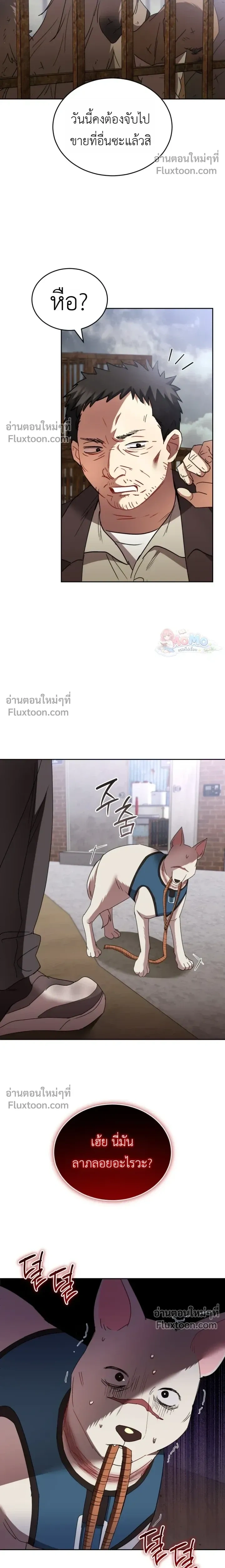 หน้าที่ 19