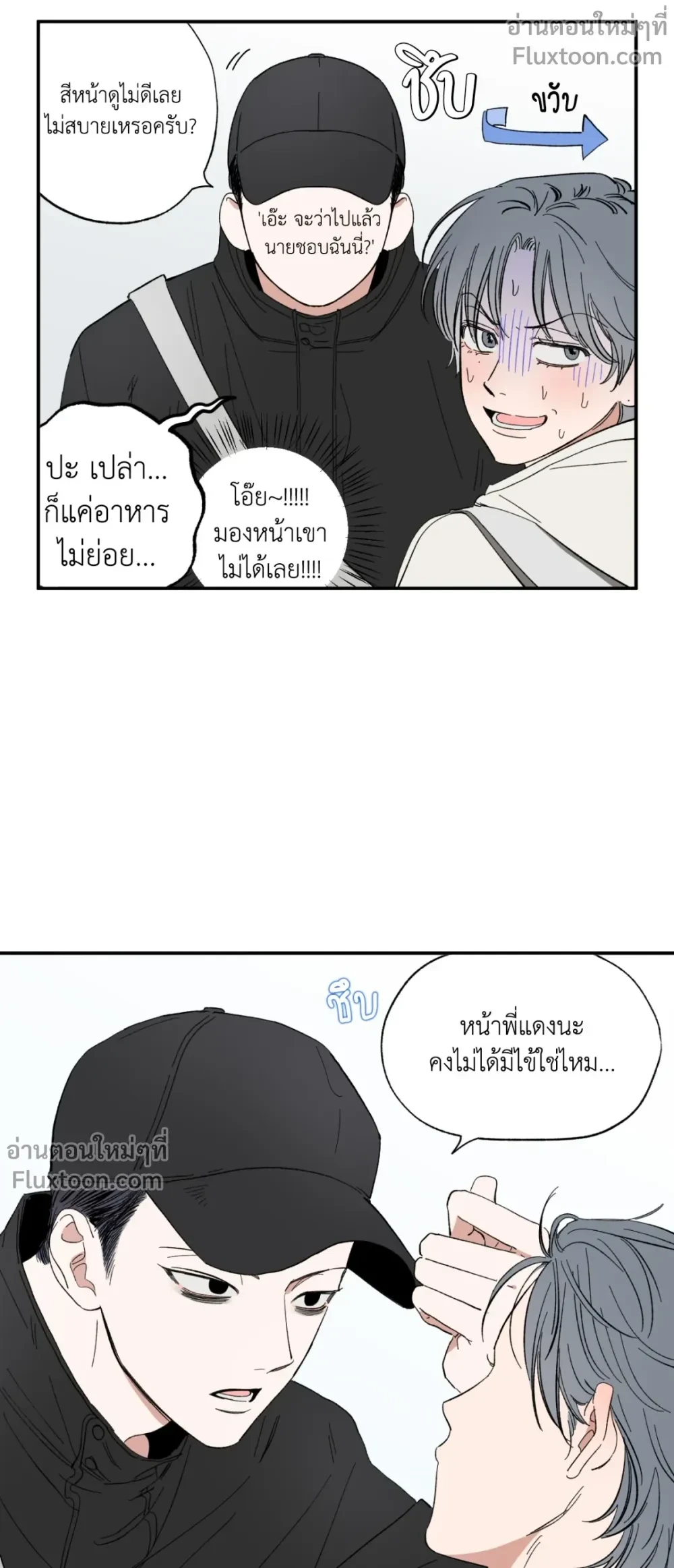 หน้าที่ 13