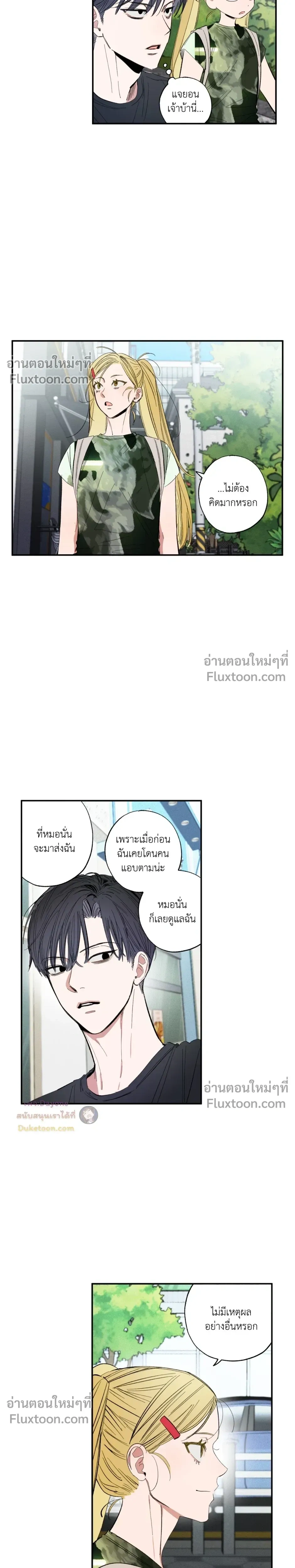 หน้าที่ 13