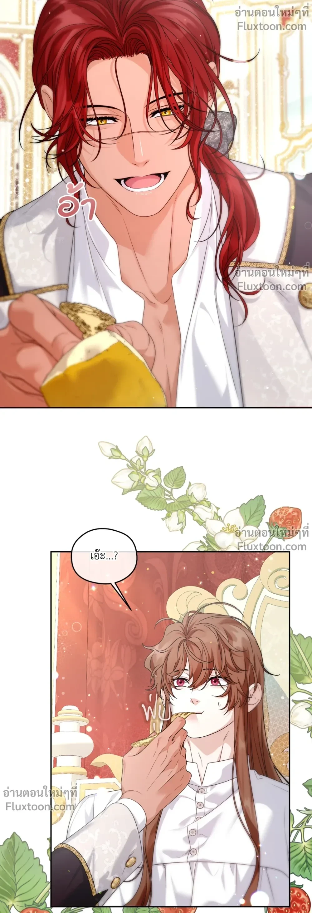 หน้าที่ 11