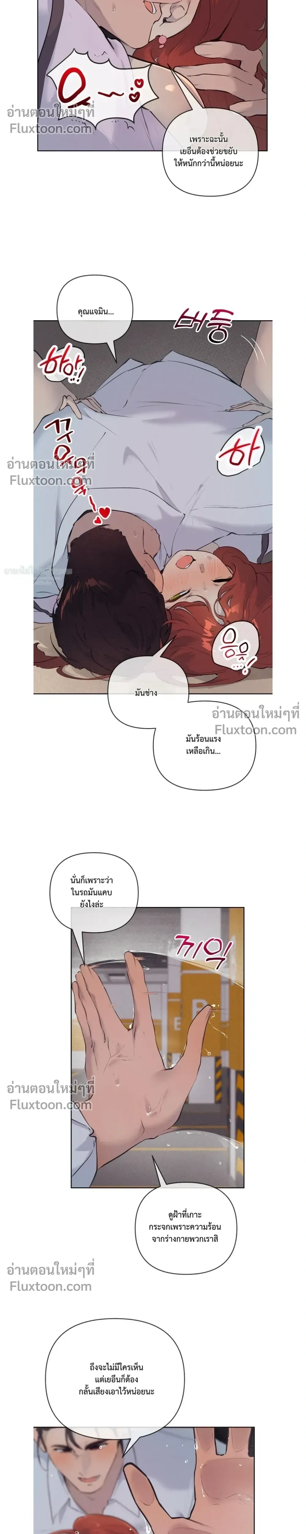 หน้าที่ 13
