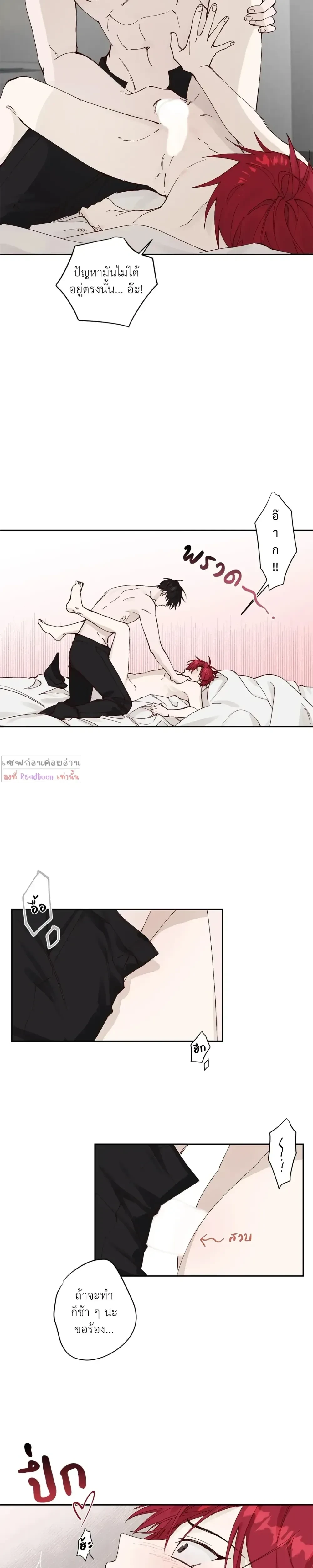 หน้าที่ 11