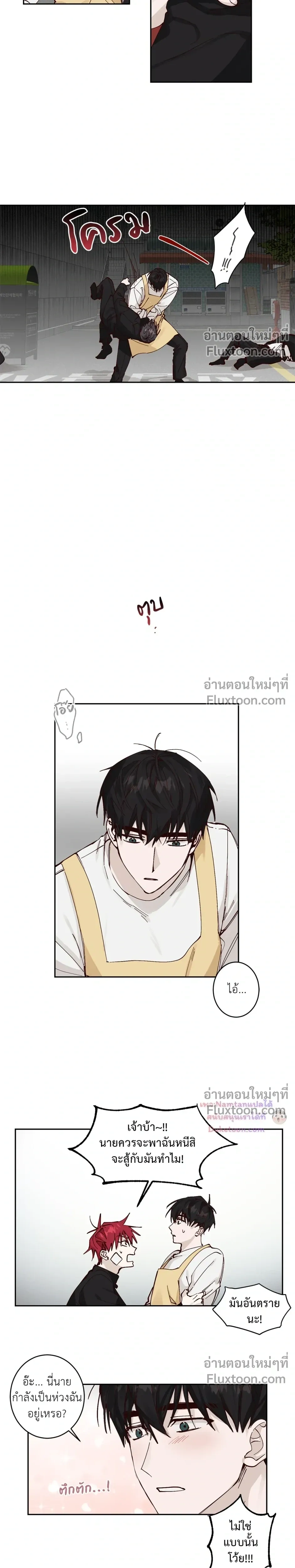 หน้าที่ 13