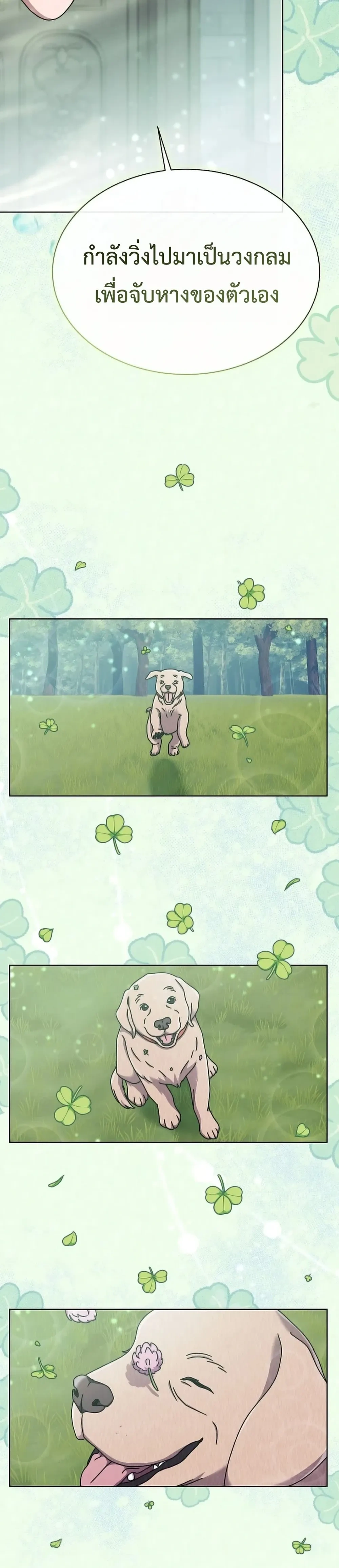 หน้าที่ 24