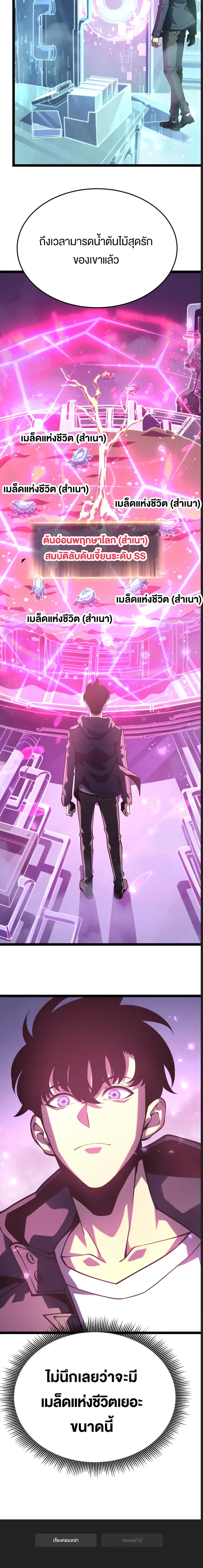 หน้าที่ 29