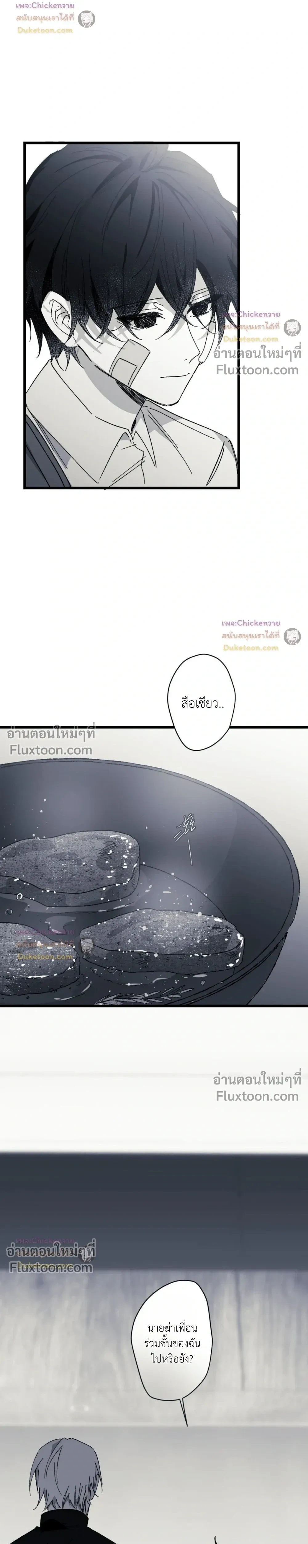 หน้าที่ 11