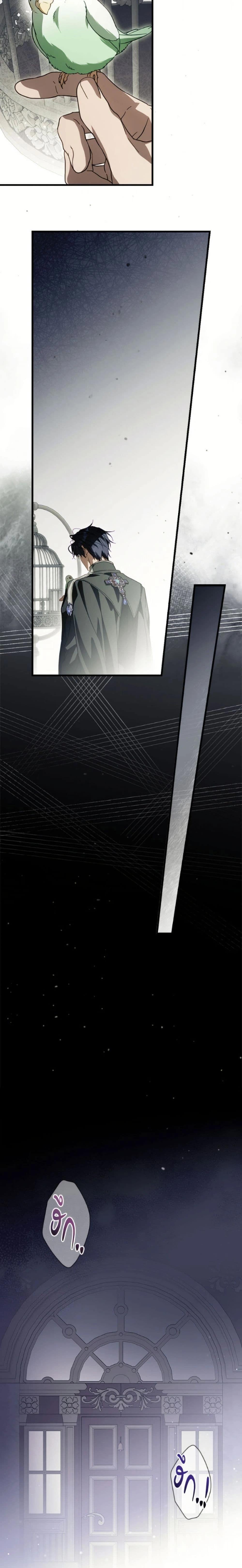 หน้าที่ 13