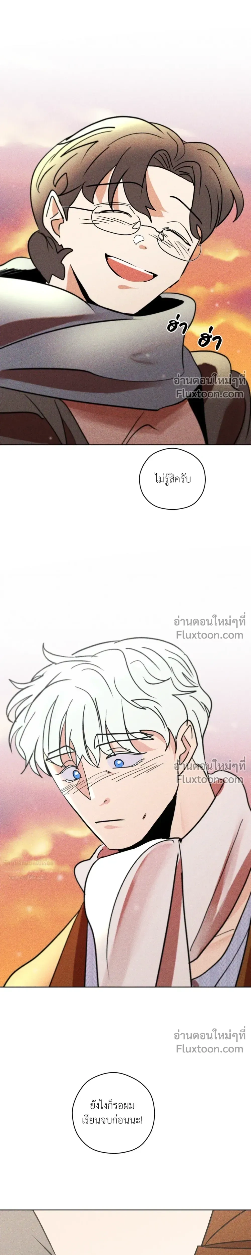 หน้าที่ 31