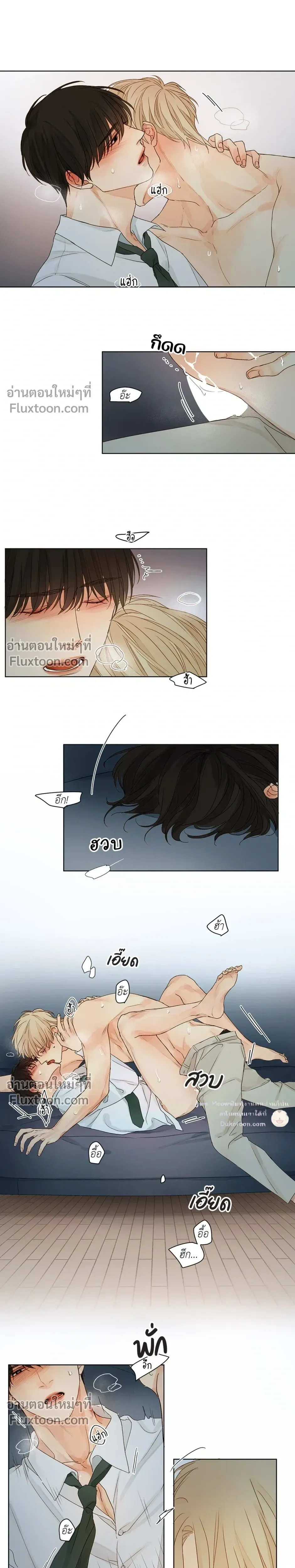 หน้าที่ 13