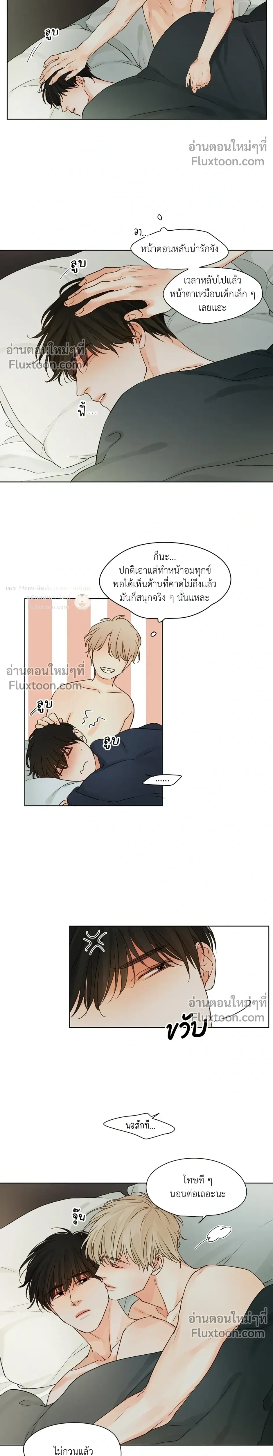 หน้าที่ 17