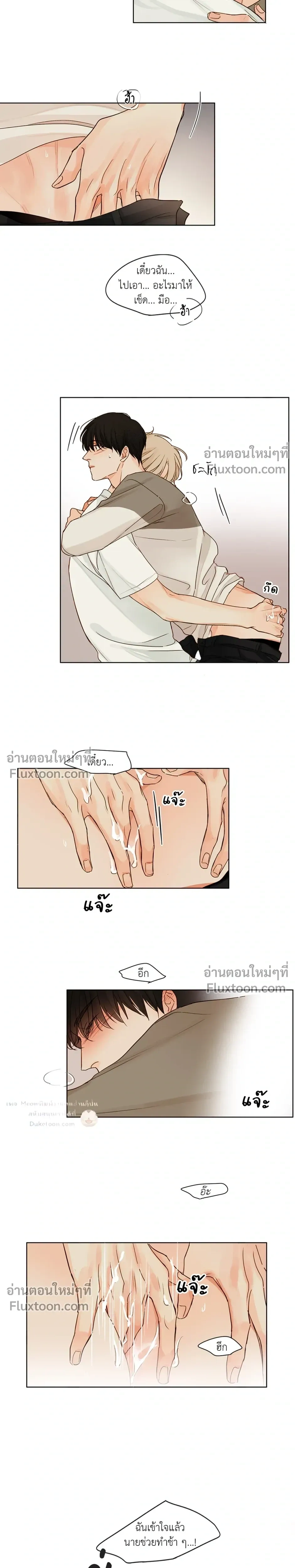 หน้าที่ 13