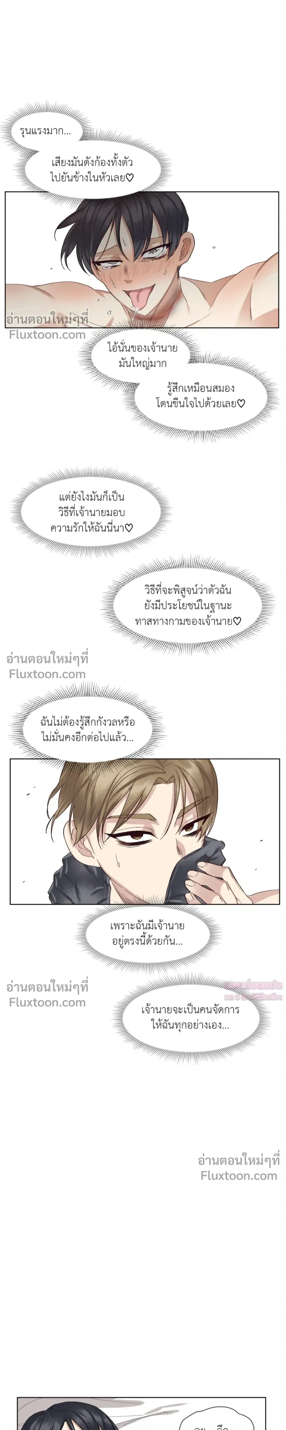 หน้าที่ 13