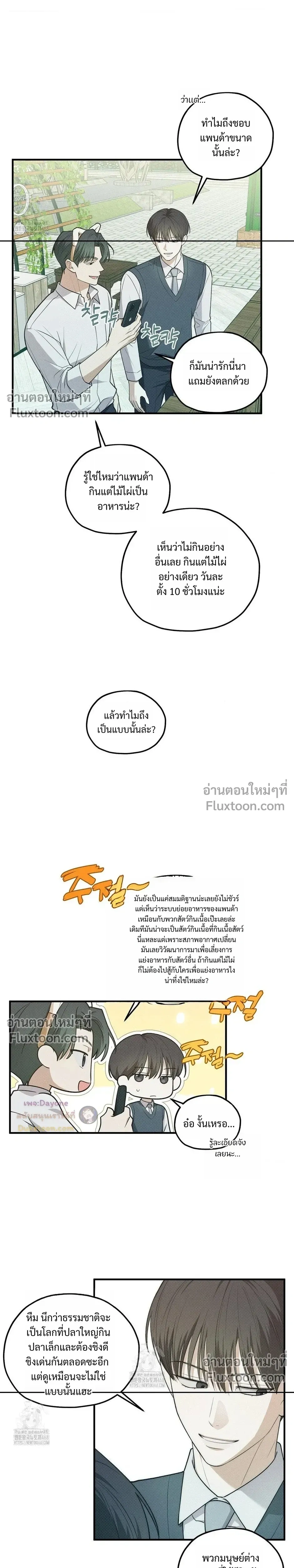 หน้าที่ 13