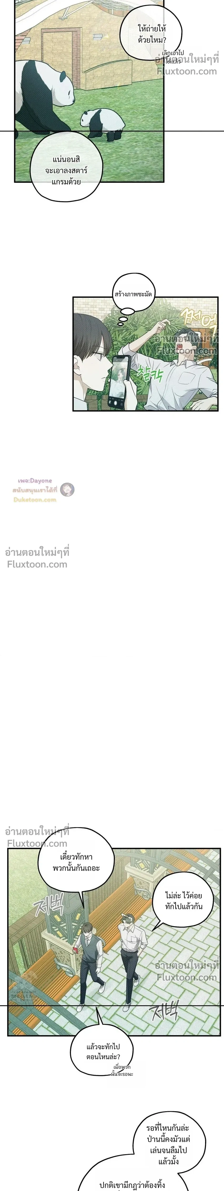 หน้าที่ 17