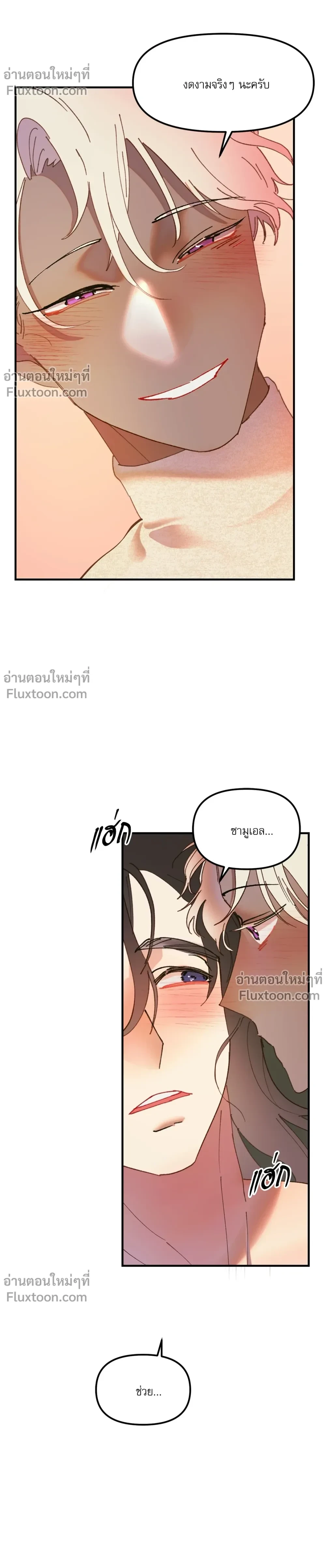 หน้าที่ 13