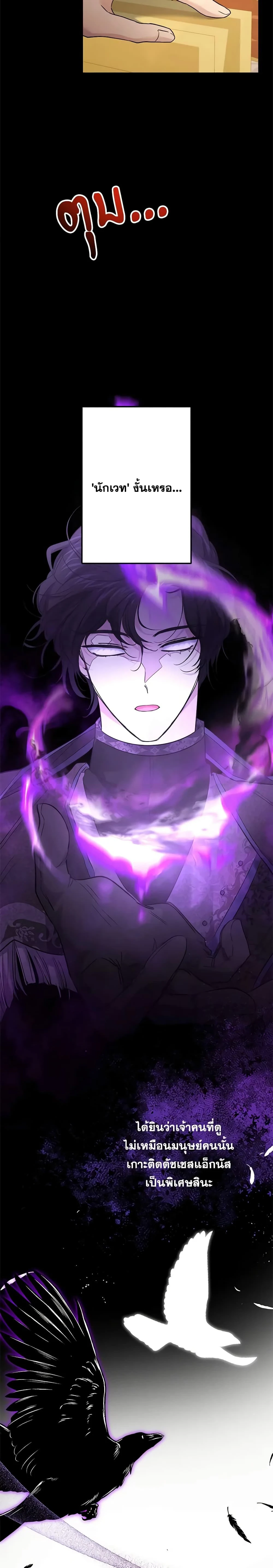 หน้าที่ 17