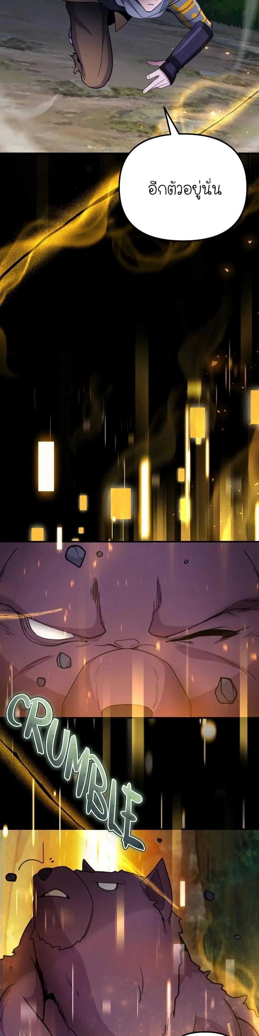 หน้าที่ 46