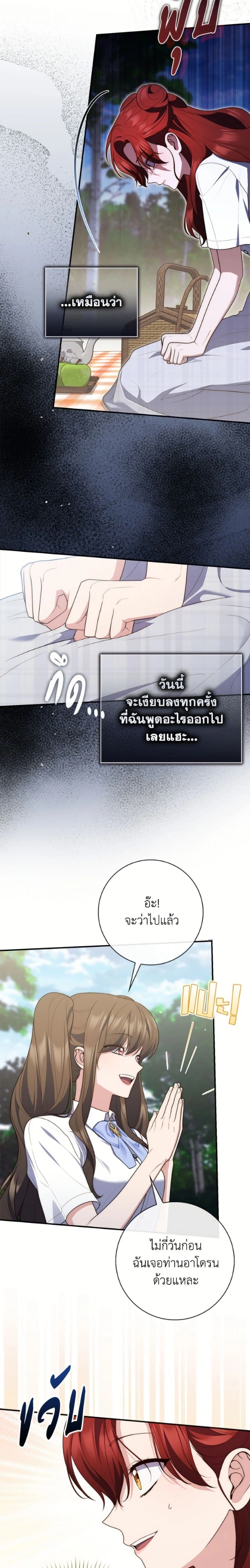 หน้าที่ 17