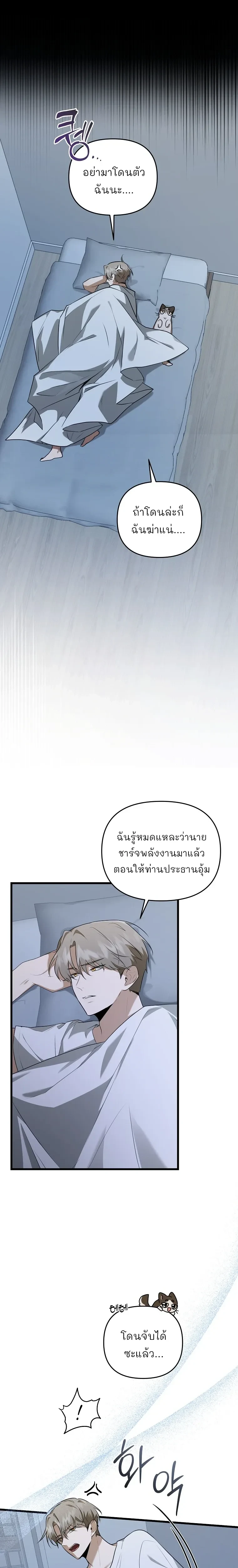 หน้าที่ 13