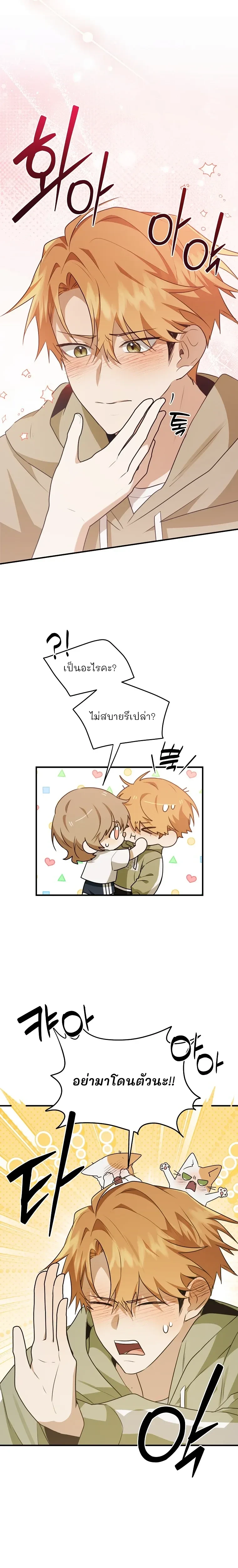 หน้าที่ 13