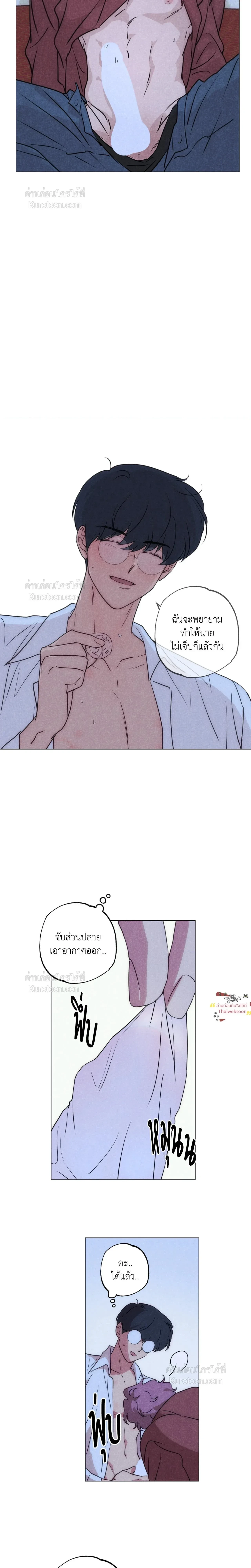 หน้าที่ 13