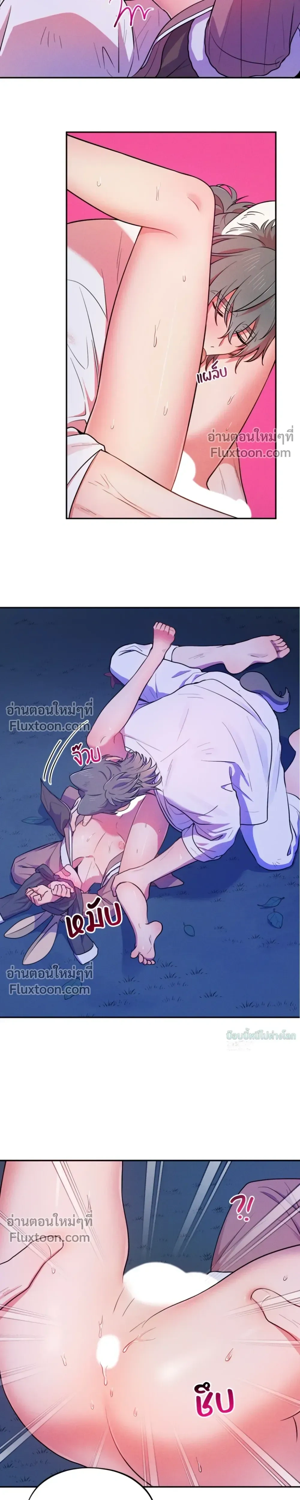 หน้าที่ 13