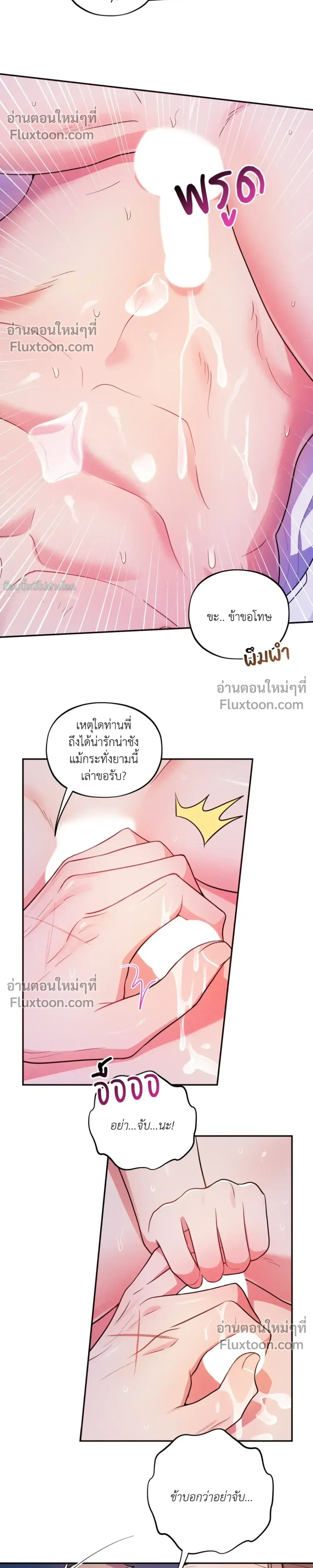 หน้าที่ 17