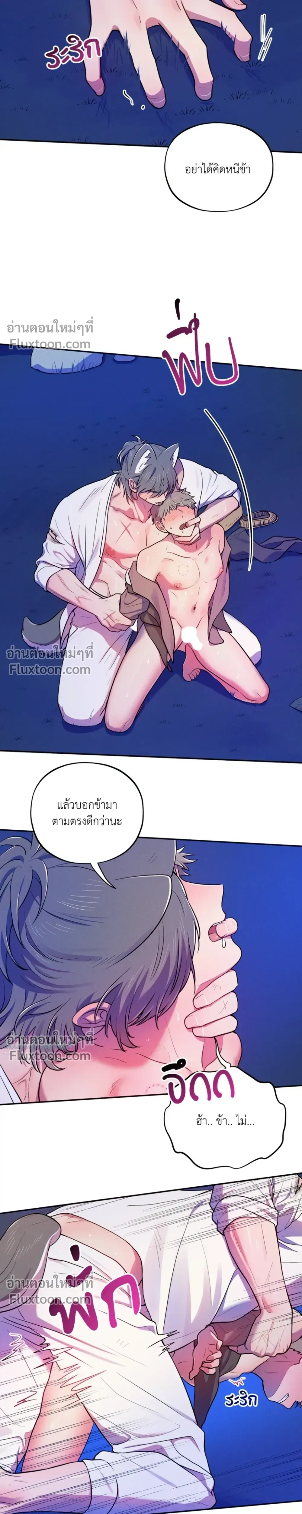 หน้าที่ 4