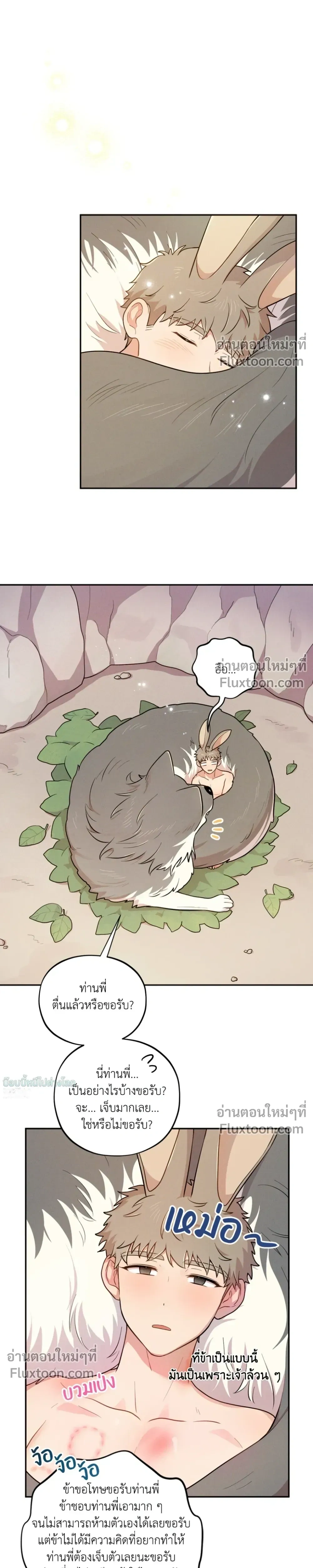 หน้าที่ 7