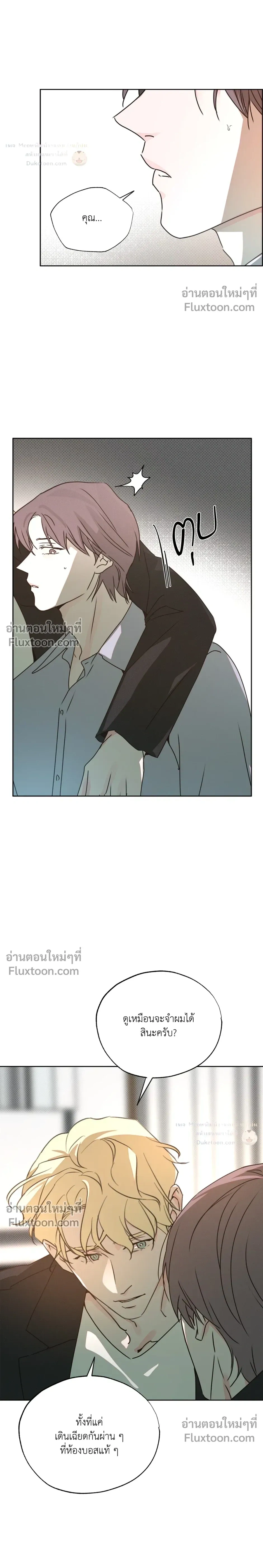 หน้าที่ 24