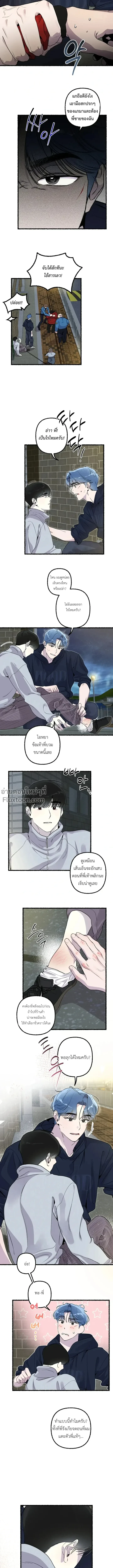 หน้าที่ 13