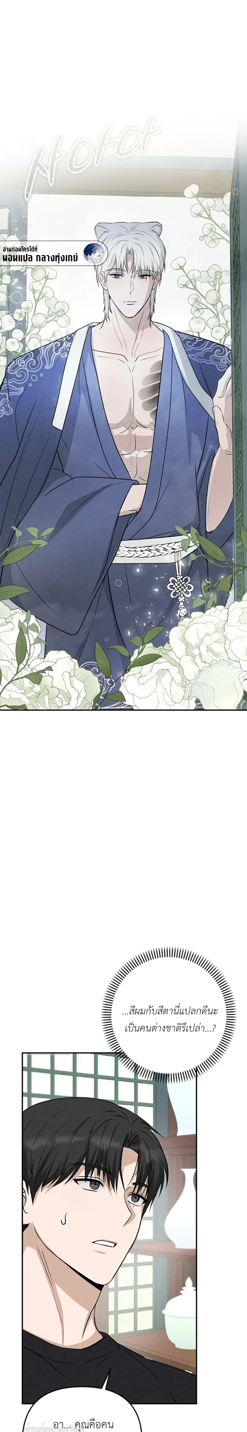 หน้าที่ 29