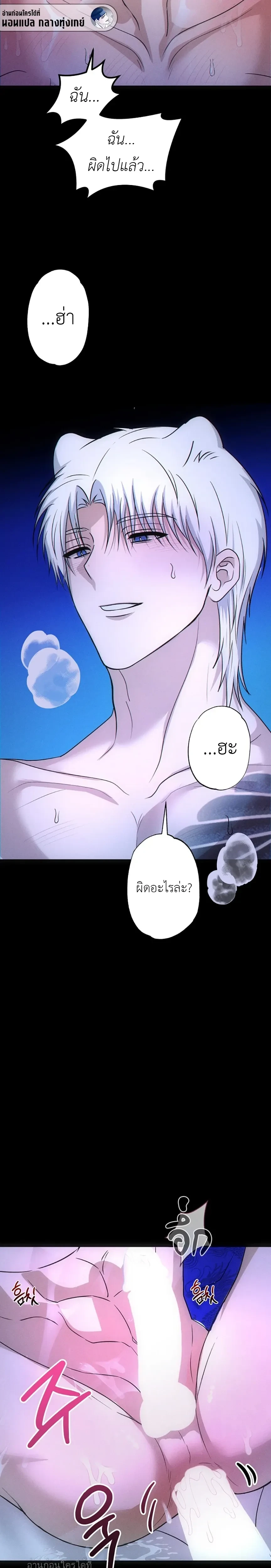 หน้าที่ 5