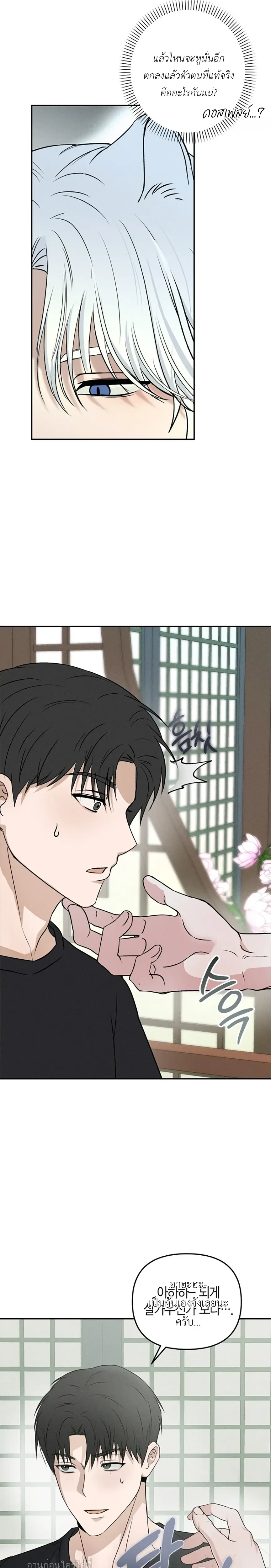 หน้าที่ 31